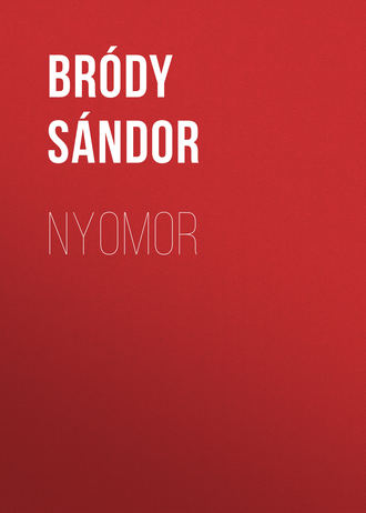 Bródy Sándor. Nyomor