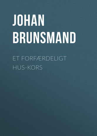 Brunsmand Johan. Et forfærdeligt Hus-Kors