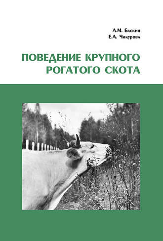 . Поведение крупного рогатого скота