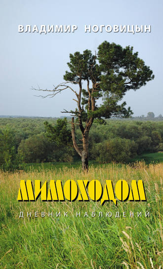 . Мимоходом. Дневник наблюдений