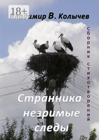 Владимир Васильевич Колычев. Странника незримые следы