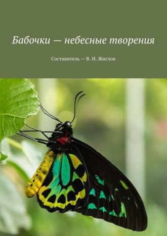 . Бабочки – небесные творения