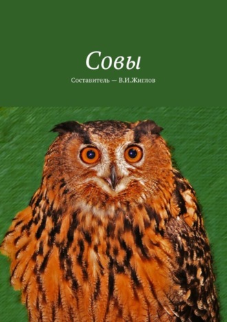 В. И. Жиглов. Совы