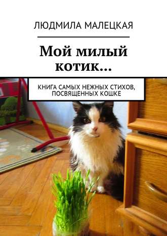 . Мой милый котик… Книга самых нежных стихов, посвященных кошке