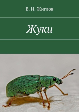 В. И. Жиглов. Жуки
