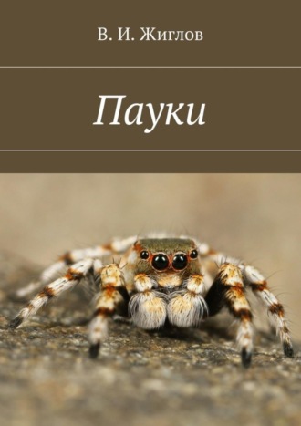 В. И. Жиглов. Пауки