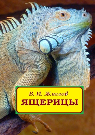 В. И. Жиглов. Ящерицы