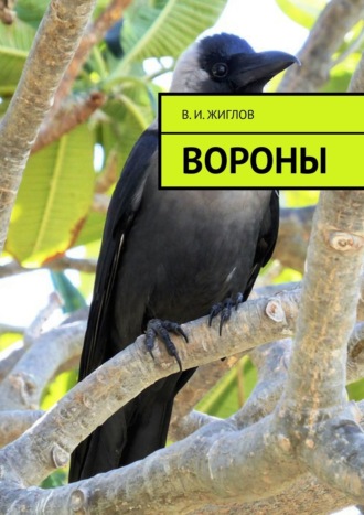 В. И. Жиглов. Вороны
