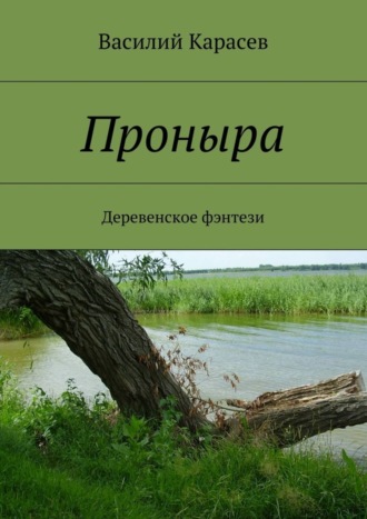 . Проныра. Деревенское фэнтези