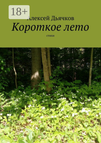 . Короткое лето. Стихи