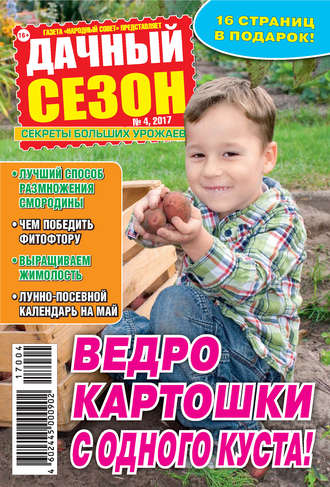 . Дачный сезон №04/2017