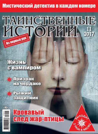 . Таинственные истории №11/2017