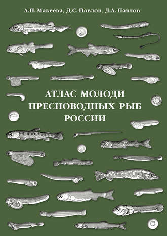 . Атлас молоди пресноводных рыб России