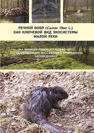 Коллектив авторов. Речной бобр (Castor fiber L.) как ключевой вид экосистемы малой реки (на примере Приокско-Террасного государственного биосферного природного заповедника)