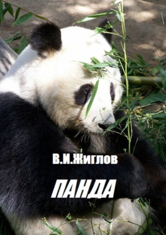 В. И. Жиглов. Панда