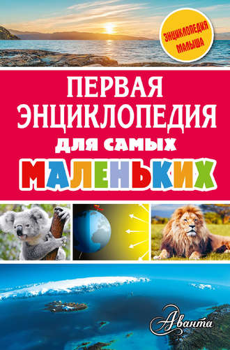 . Первая энциклопедия для самых маленьких