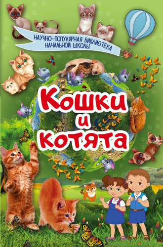 . Кошки и котята