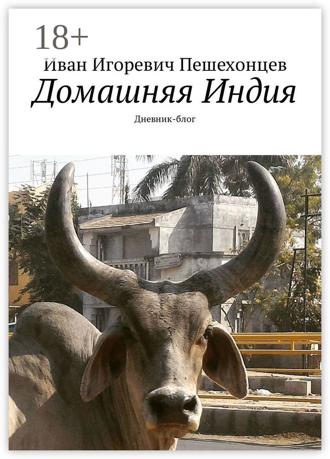 Иван Игоревич Пешехонцев. Домашняя Индия. Дневник-блог