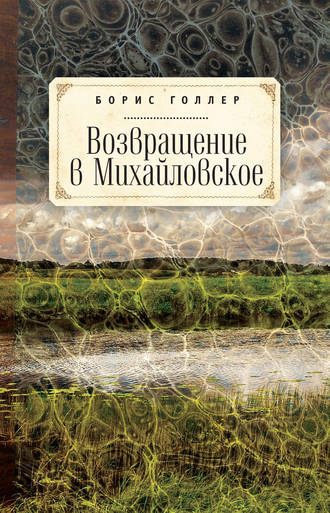 . Возвращение в Михайловское