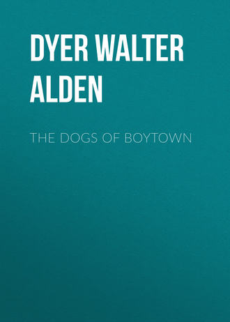 . The Dogs of Boytown