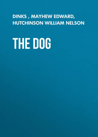Mayhew Edward. The Dog
