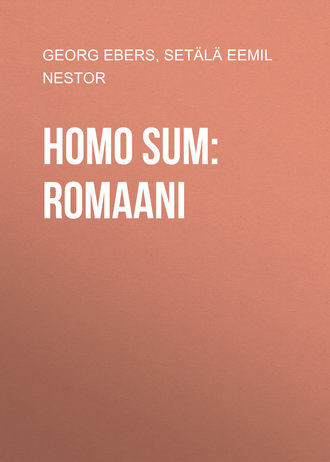 Setälä Eemil Nestor. Homo sum: Romaani