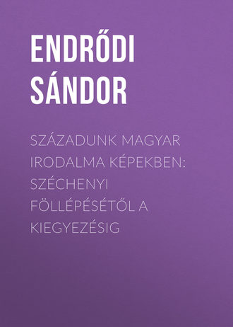 Endrődi Sándor. Századunk magyar irodalma képekben: Széchenyi föllépésétől a kiegyezésig