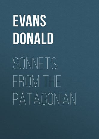 . Sonnets from the Patagonian