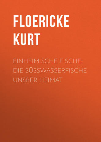 Floericke Kurt. Einheimische Fische; Die Süßwasserfische unsrer Heimat