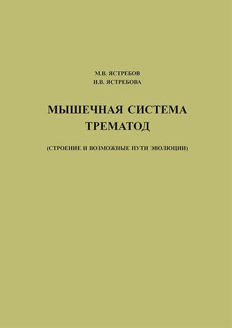 . Мышечная система трематод (строение и возможные пути эволюции)