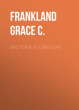 Frankland Grace C.. Bacteria in Daily Life