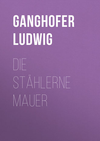 . Die stählerne Mauer