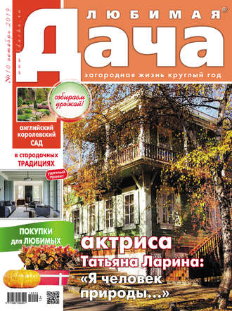. Любимая дача №10/2019