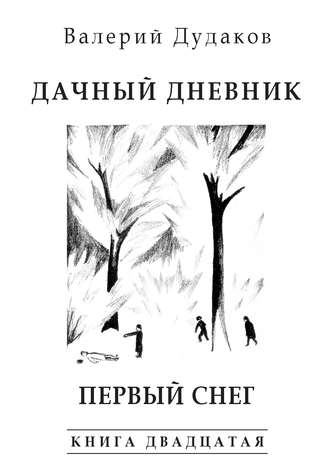 . Дачный дневник. Первый снег. Книга двадцатая