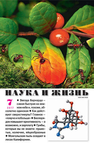 . Наука и жизнь №07/2017