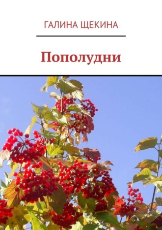 . Пополудни. Книга стихов