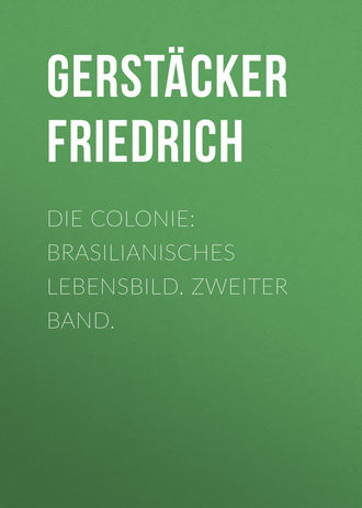 . Die Colonie: Brasilianisches Lebensbild. Zweiter Band.