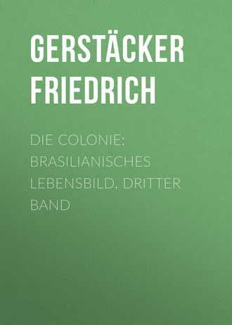 . Die Colonie: Brasilianisches Lebensbild. Dritter Band