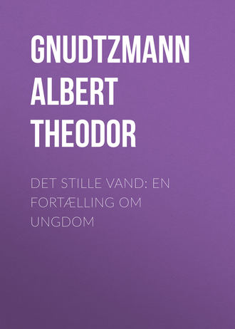 . Det stille Vand: En Fortælling om Ungdom