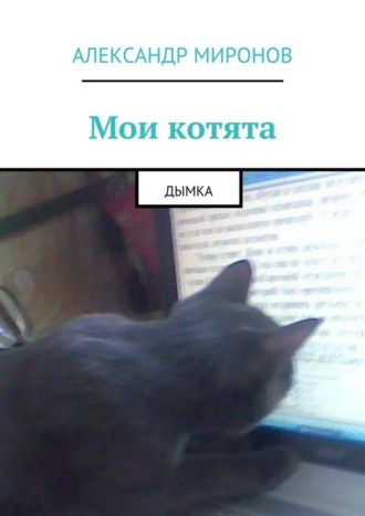 Александр Миронов. Мои котята. Дымка