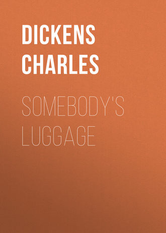 . Somebody's Luggage