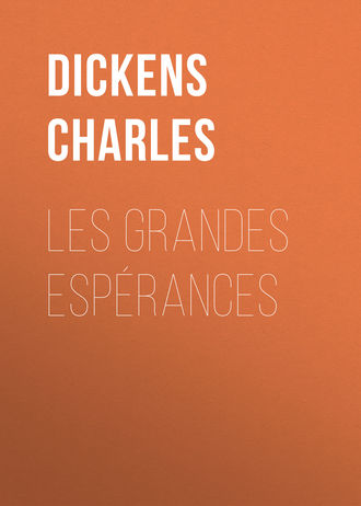 . Les grandes espérances