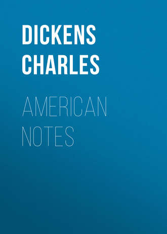. American Notes