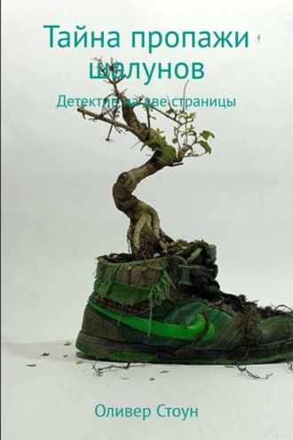 Оливер Стоун. Тайна пропажи шалунов