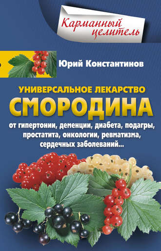. Универсальное лекарство смородина. От гипертонии, деменции, диабета, подагры, простатита, онкологии, ревматизма, сердечных заболеваний…