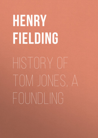 . History of Tom Jones, a Foundling