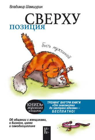 Владимир Шамшурин. Позиция сверху: быть мужчиной