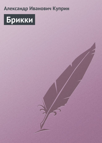 . Брикки