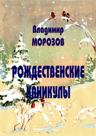 . Рождественские каникулы