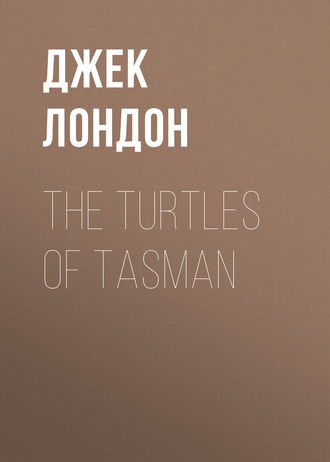. The Turtles of Tasman